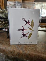 Elegance Series Cards 10 pack print cards
