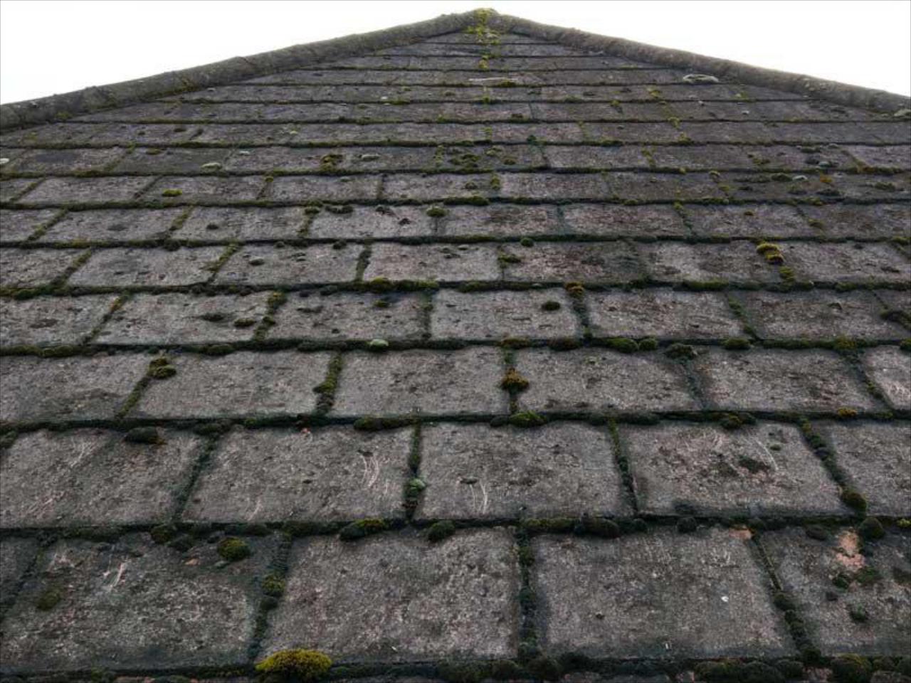 Black Roof Streaks