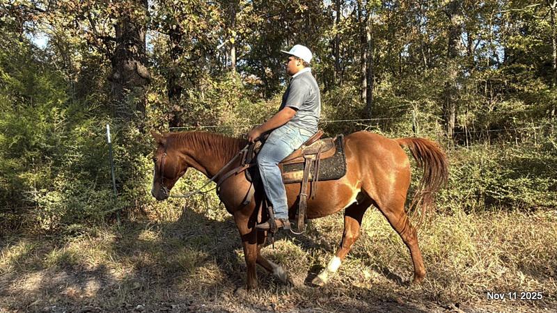 💚Ranger Safe for All Ages💚