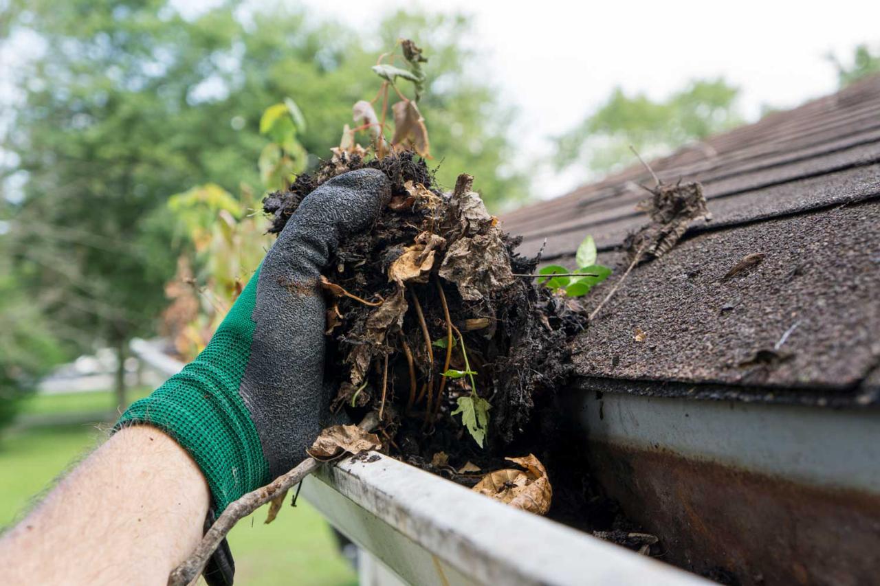 Gutter Cleaning &amp; Brightening