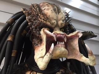 Life Size Predator Full Size
