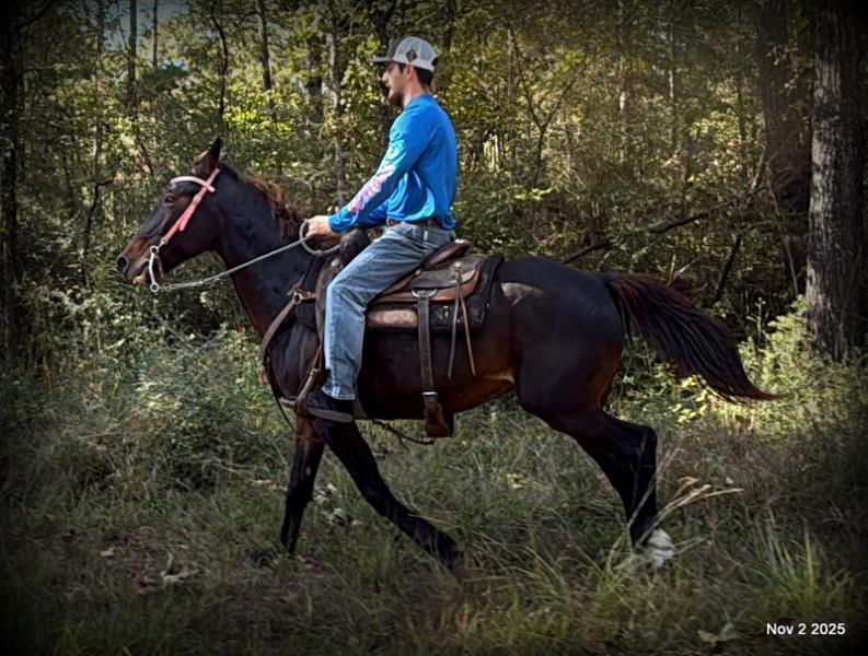 🧡Grace🧡 💔 ✨ The Underdog Who Deserves a Christmas Miracle ✨ 💔