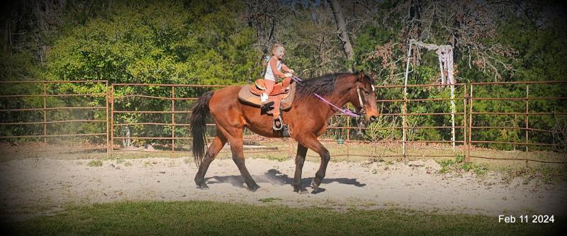 RIDING LESSONS HERE AT A RANCH HORSE