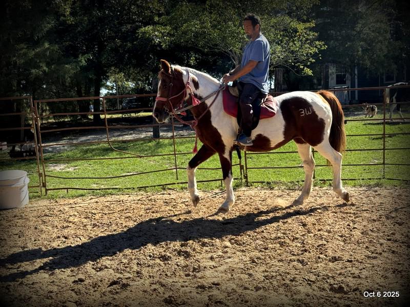 Jazzy – A Warrior Seeking Her Second Chance