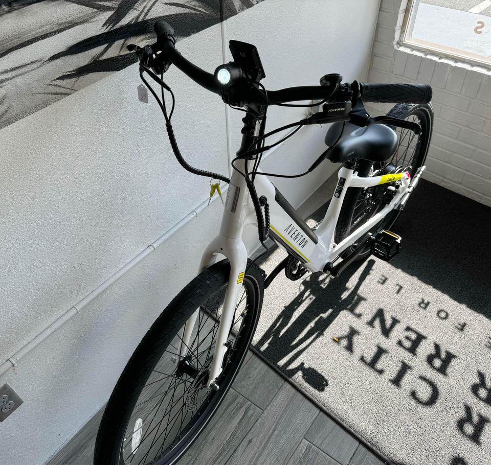 Aventon Pace 500.3 Stepthrough E-Bike