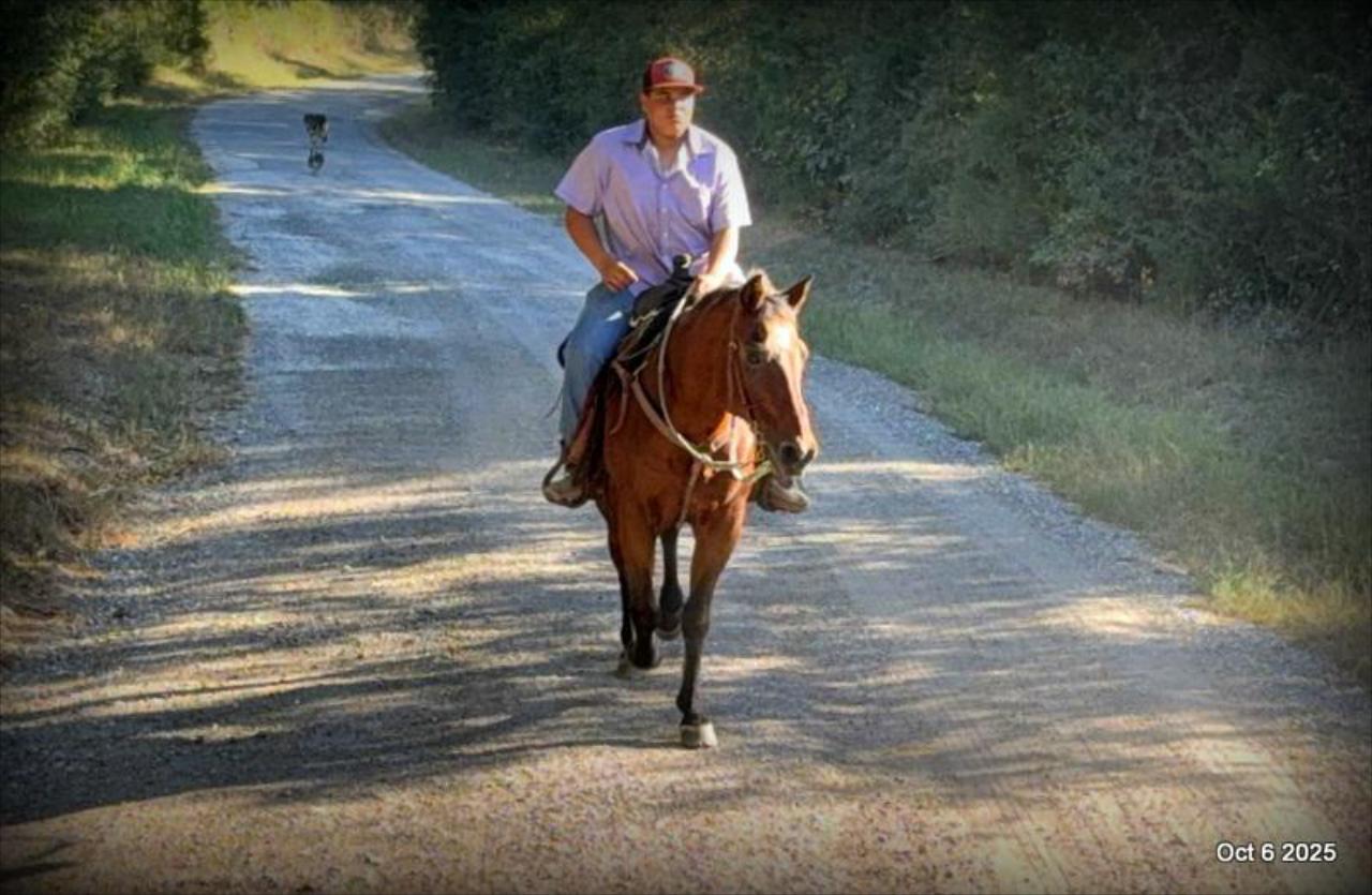 🌟 Meet Brownie – Your All-Around Ranch and Trail Partner 🌟