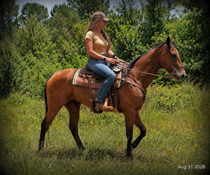 💚🐴 River • Sensible, Responsive & Confidence-Building Trail Mare💚