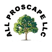 Xeriscaping Contractor In Denver CO - All Proscape LLC In Denver CO ...