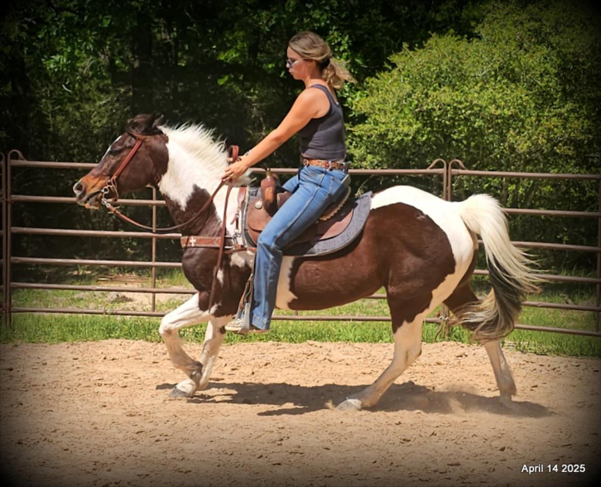 Montana – The Picture-Perfect Partner with All the Right Moves