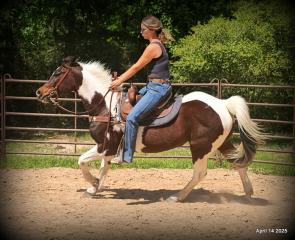 Montana – The Picture-Perfect Partner with All the Right Moves
