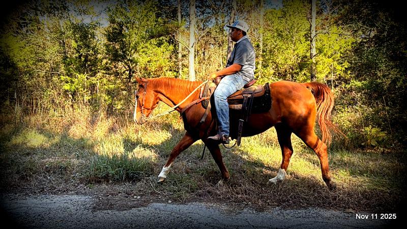 💚Ranger Safe for All Ages💚