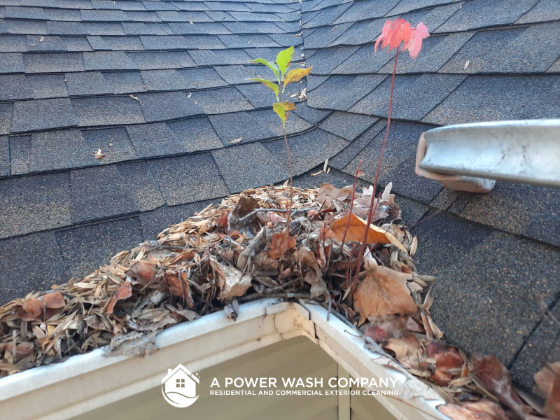 Advantages of Our Gutter Cleaning Services in Toledo