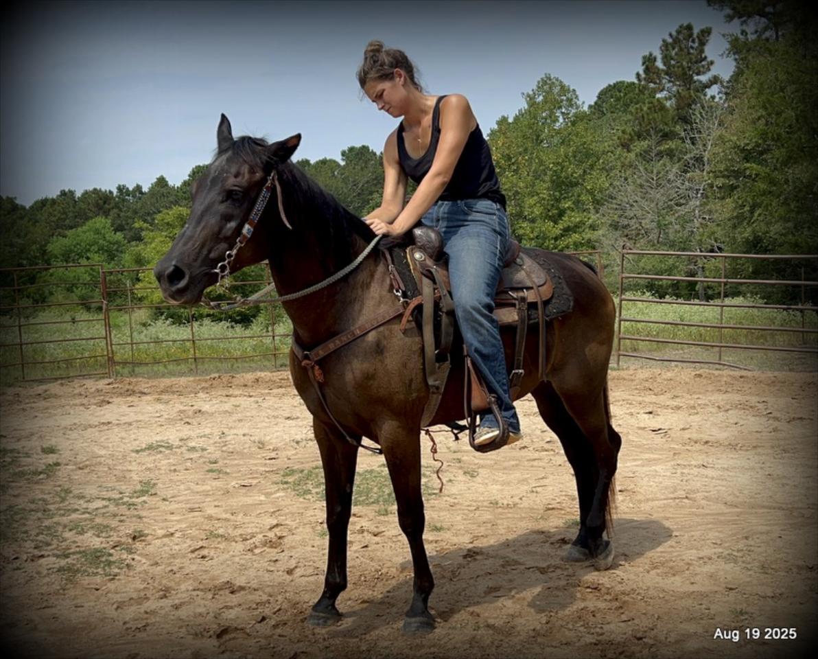 Shadow – The Sweetheart Everyone’s Looking For