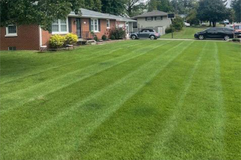 Mowing