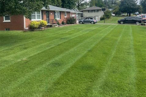 Mowing