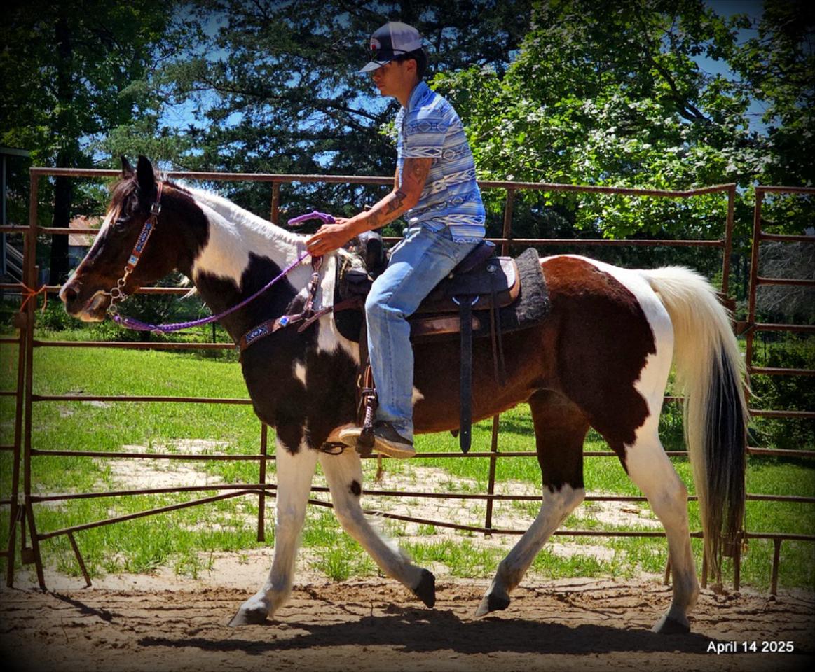 Montana – The Picture-Perfect Partner with All the Right Moves