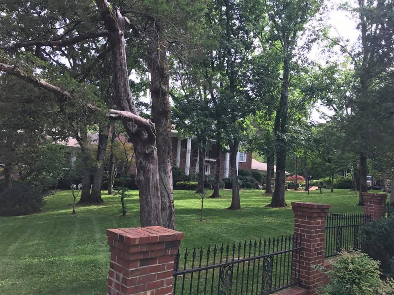 Professional Landscaping and Lawn Care Services in Northern Alabama