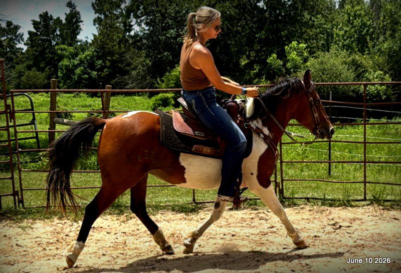 🧡Coca🧡Solid, Sensible Trail Mare 🌟