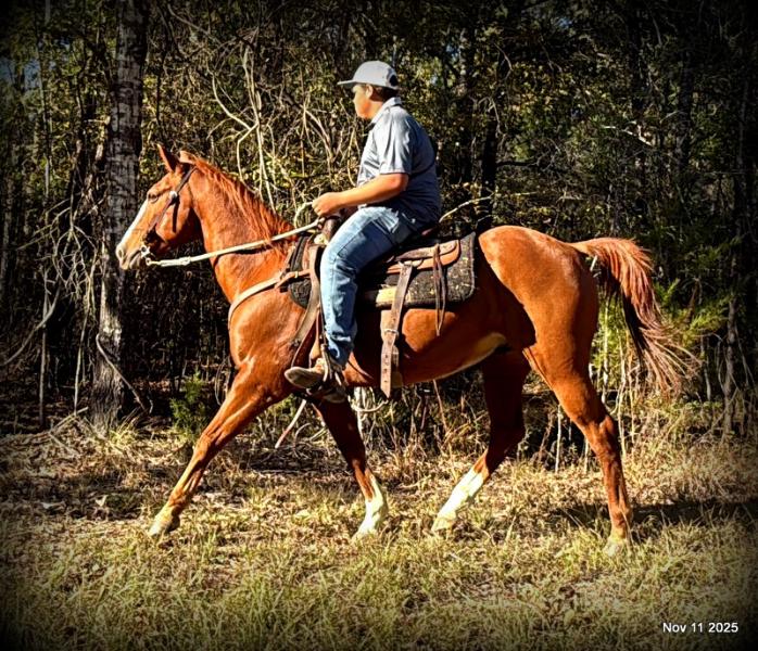 💚Ranger Safe for All Ages💚