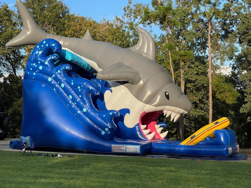 Shark Waterslide