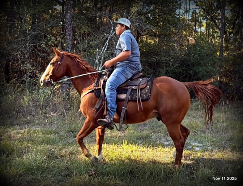 💚Ranger Safe for All Ages💚
