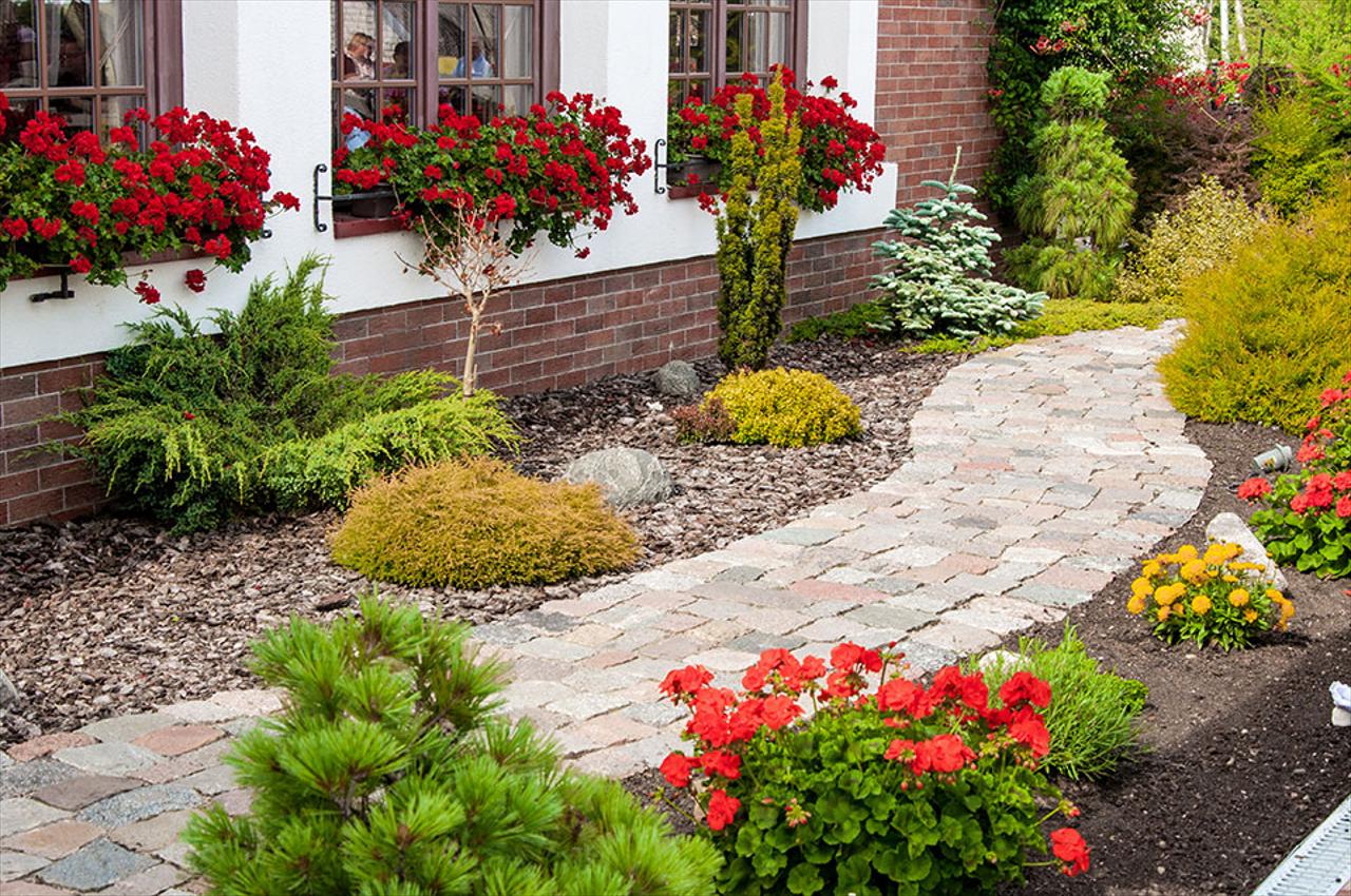 Hardscape & Xeriscape