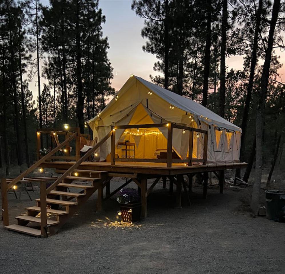 Guest Access