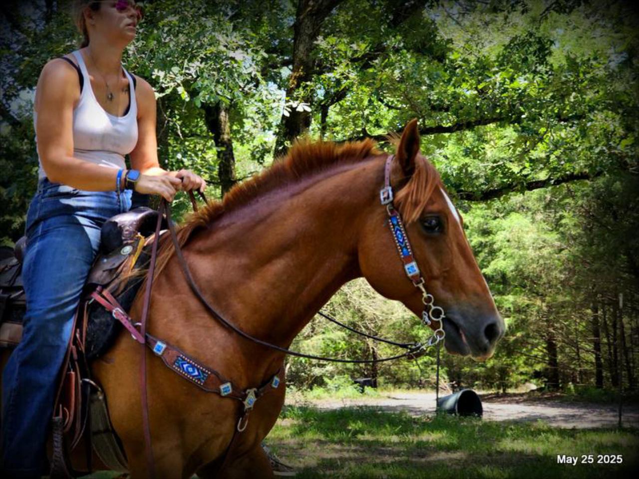 Smart Little Buzz AKA hawk