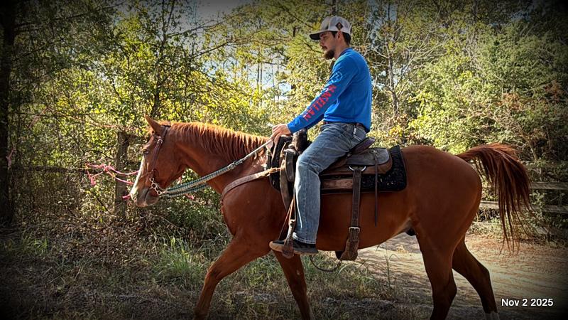 💚Ranger Safe for All Ages💚