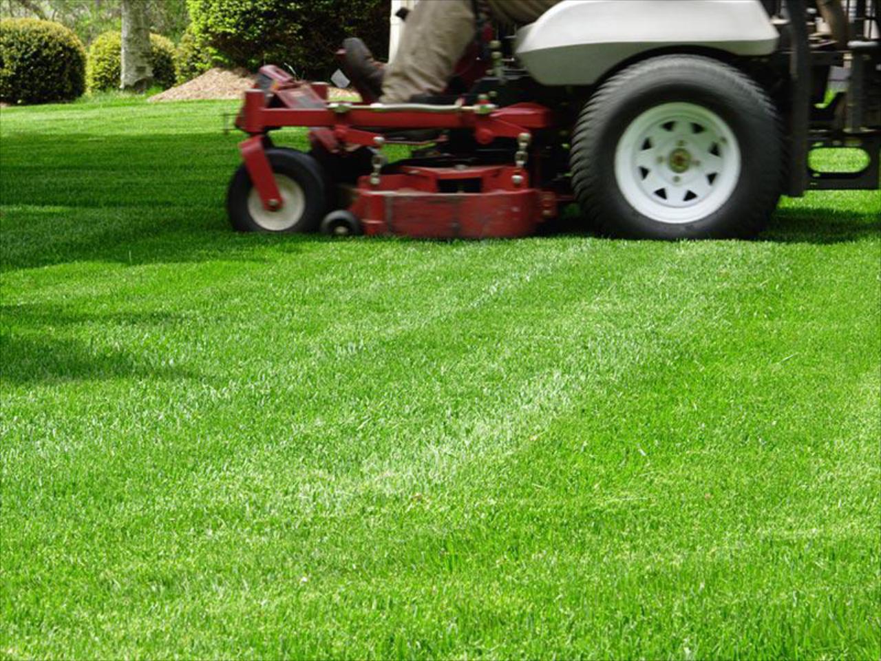 Lawn Mowing
