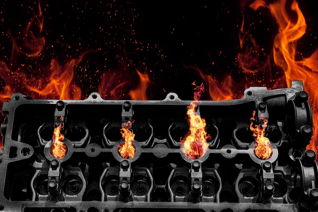 Check Out Our Reviews! 