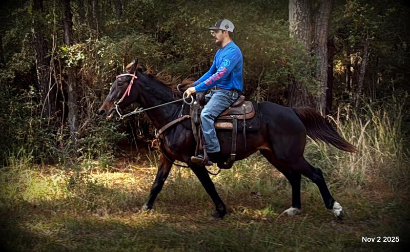 🧡Grace🧡 💔 ✨ The Underdog Who Deserves a Christmas Miracle ✨ 💔