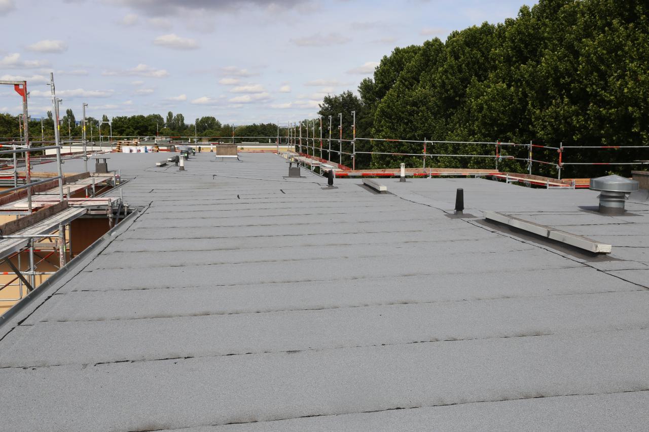 Flat Roofs