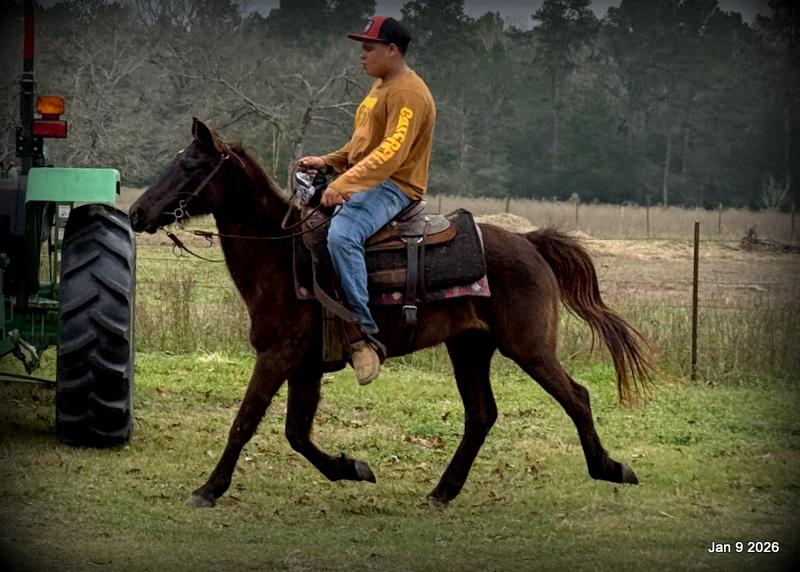 🩷❤️Pixie🩷❤️