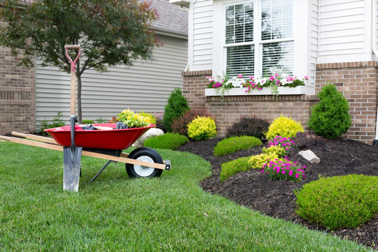 Mulching &amp; Planting