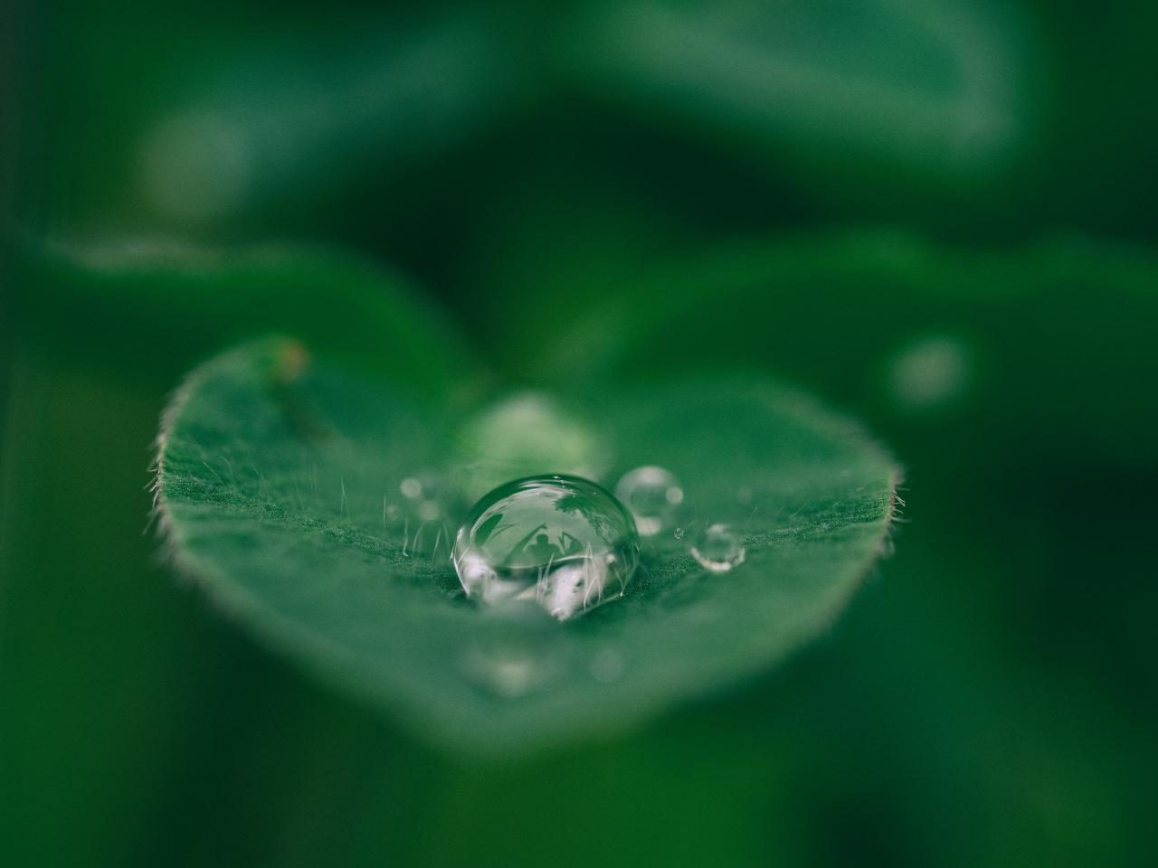 Where Luxury, Wellness, and Sustainability Meet
