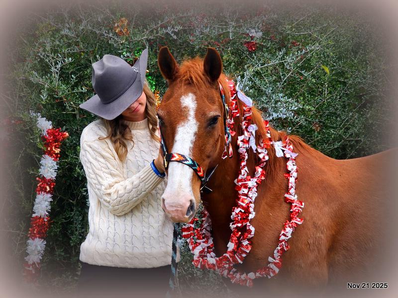 💚Ranger Safe for All Ages💚