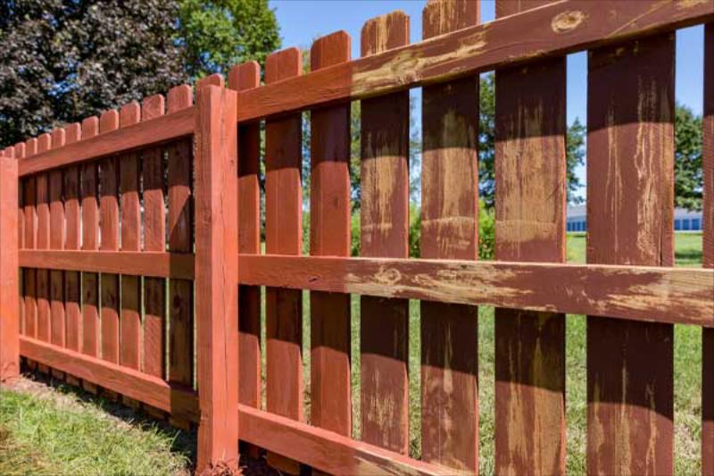 Wood Fence Staining