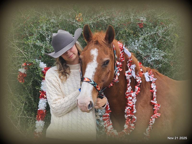 💚Ranger Safe for All Ages💚