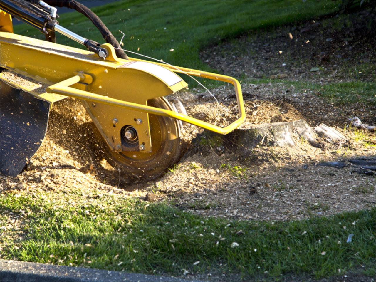 Stump Grinding