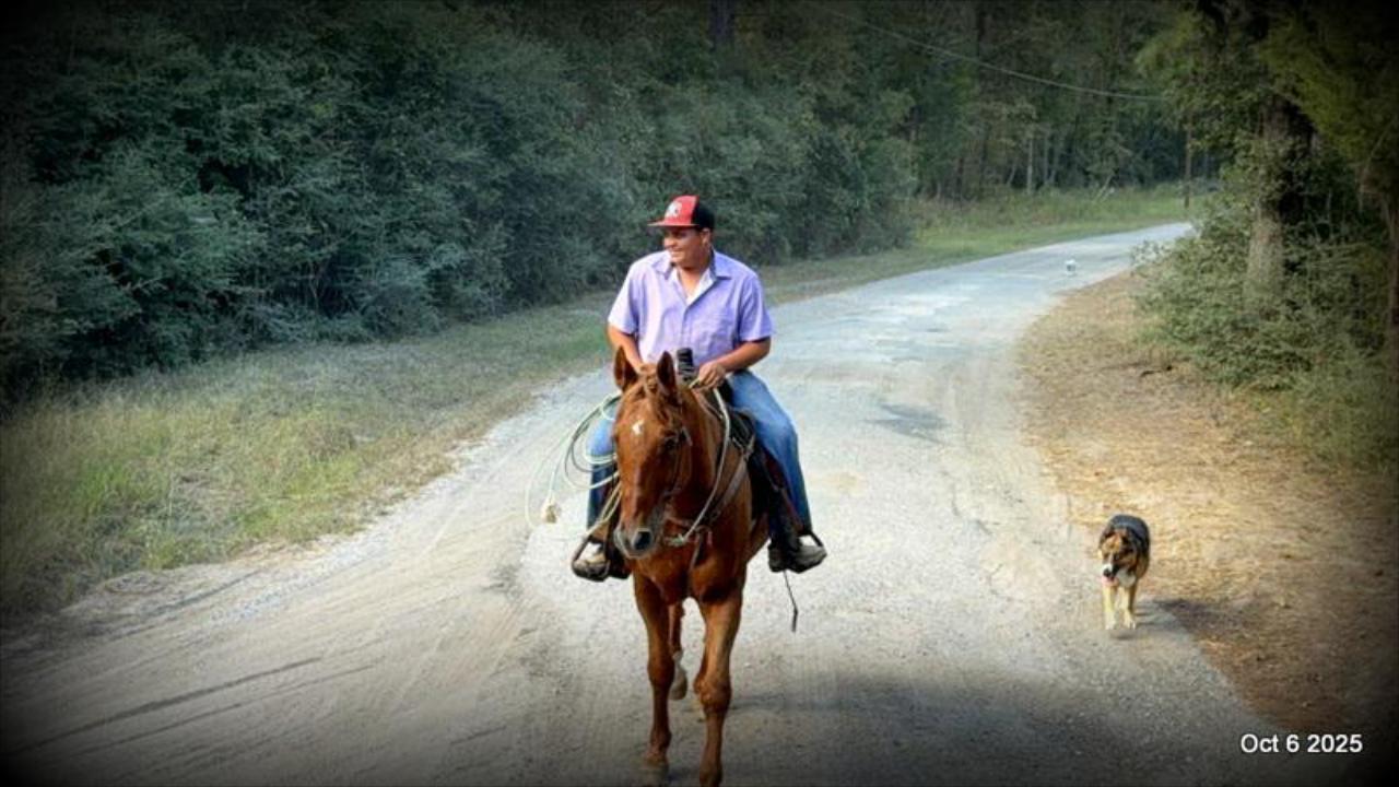 Biggie – Ranch-Tested, Family-Safe, and Ready to Ride!