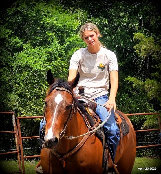 Darylslitlediablo (Diablo)