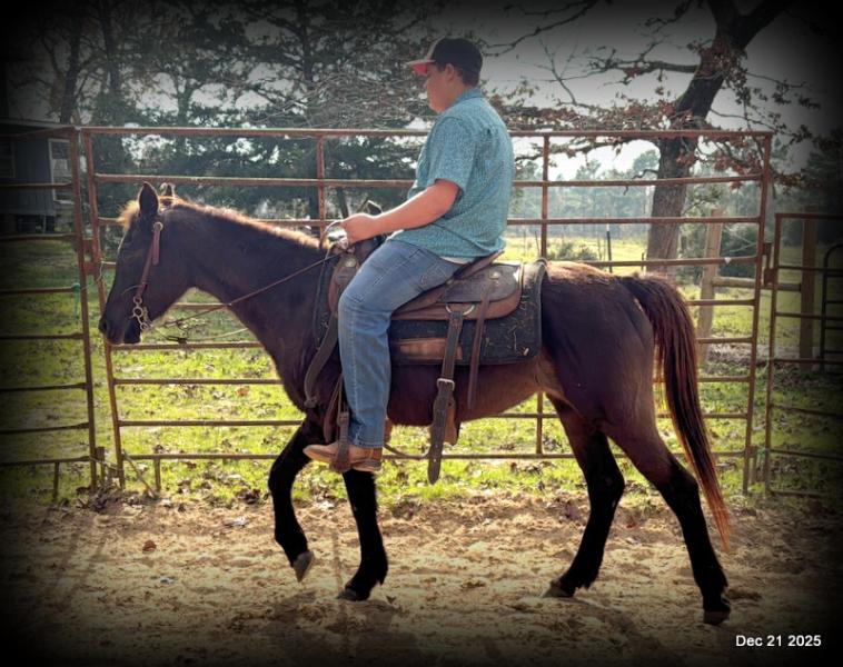 🩷❤️Pixie🩷❤️