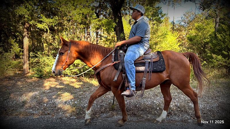 💚Ranger Safe for All Ages💚