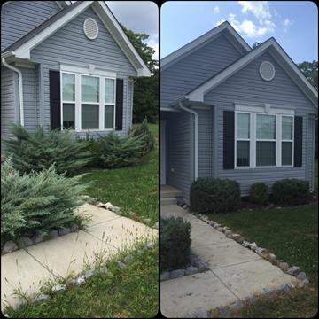 Spring clean up services to rejuvenate your yard.