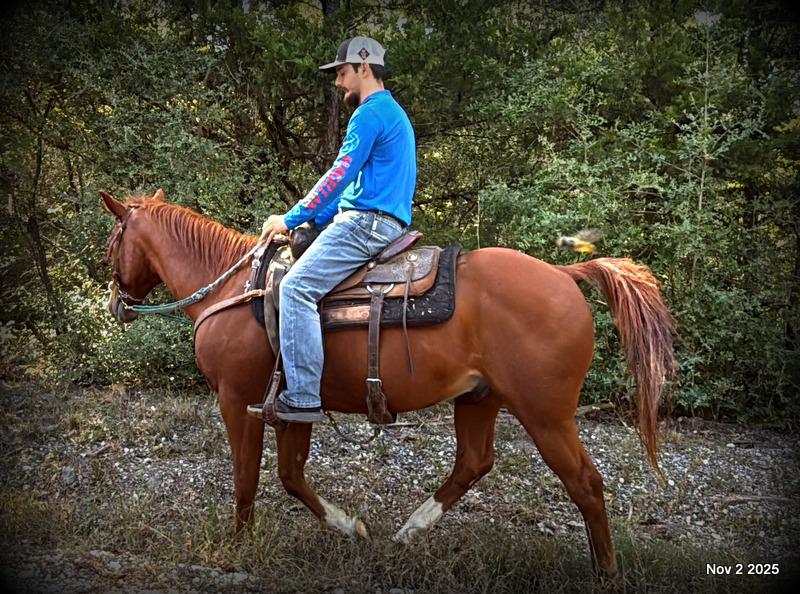 💚Ranger Safe for All Ages💚