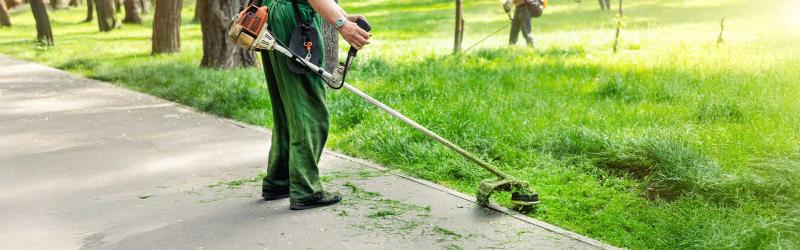 Commercial Grass Maintenance