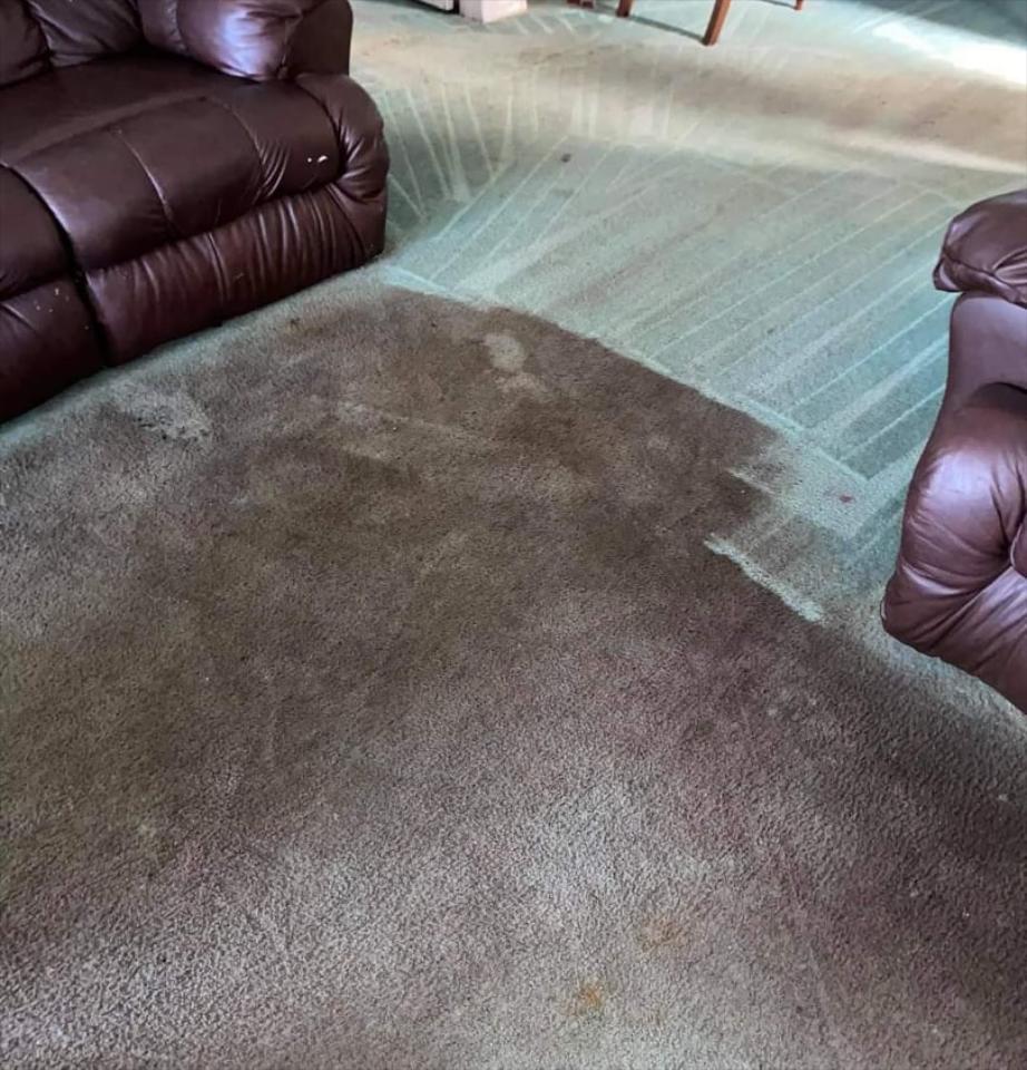 Carpet & Rug Cleaning