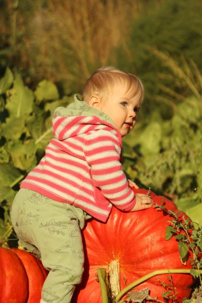 The Power of Practical Life for Toddlers