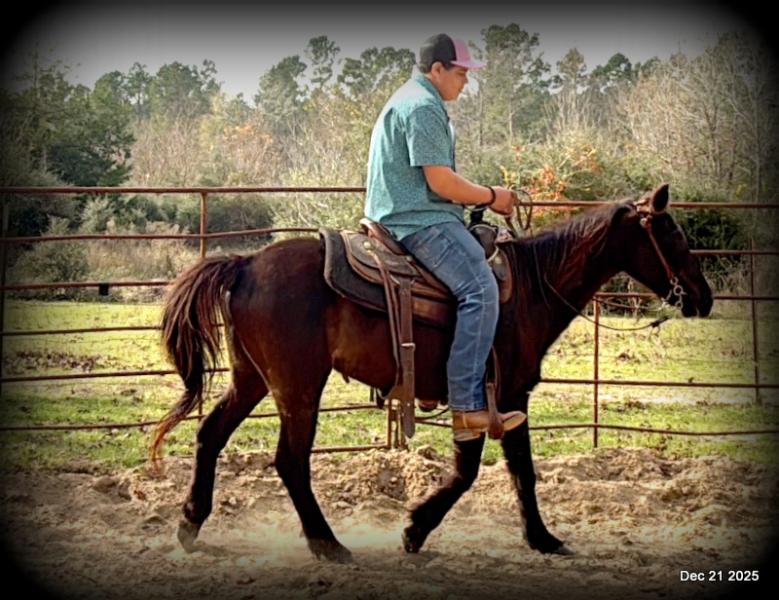 🩷❤️Pixie🩷❤️